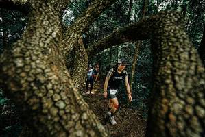 BIB: 
                            <button type="button" onclick="openModal(25701306)" class="btn btn-primary btn-sm float-right btn-popup" data-toggle="modal" data-target=".modal-high-quality">
                        <i class="fas fa-shopping-cart"></i> Add to Cart
                    </button>
                                            <button type="button" onclick="isThisMe(25701306, true)" class="btn btn-success btn-sm float-right btn-popup btn-isme hidden" data-toggle="tooltip" data-placement="bottom" title="นี่คือรูปของคุณใช่ไหม คลิกที่นี่เพื่อเอาเข้าอัลบั้ม">
                        <i class="fas fa-plus"></i> Add to album
                    </button>
                    <button type="button" onclick="isThisMe(25701306, false)" class="btn btn-warning btn-sm float-right btn-popup btn-isnotme hidden">
                        <i class="fas fa-ban"></i> Remove from album
                    </button>